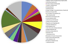 However, it is not known how. Genomic And Phenomic Analysis Of A Marine Bacterium Photobacterium Marinum J15 Sciencedirect