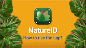 You can also share the color information thanks to the share option. How To Use Natureid App On Ios Youtube