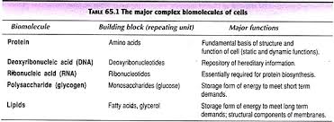 Biomolecules Top 4 Classes Of Biomolecules