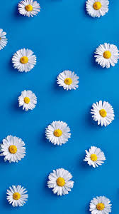 Download the perfect aesthetic pictures. Flowers Minimal Wallpaper Poster Bunga Seni Dinding Buatan Sendiri Bunga Putih