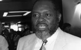 Trailblazers of Change: Celebrating Ten Black British Activists