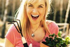 Problematisch wird es bei mietobjekten, wenn sie den efeu anpflanzen. Efeu Wie Winterhart Ist Er Wirklich