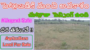We did not find results for: 37 Acres Agriculture Land For Sale In Nalgonda Best Investment Opportunity Haripriya Real Estate