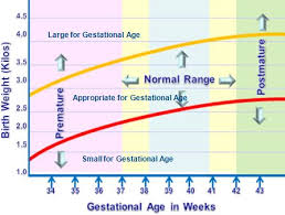 Hormonal Influences On Fetal Development