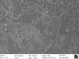 Image result for bulat steel micrograph