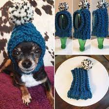Diy Dog Clothes Beanie 61 Ideas Dog Clothes Diy Dog Beanie Diy Dog Stuff