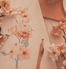Spring Blooms Orange Aesthetic Pink Aesthetic Peach Aesthetic