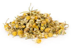 The top health benefits of chamomile tea can include the ability to regulate sleep, aid in digestion. Sleep Tea And The Benefits Of Chamomile Tea