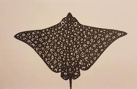 Eagle ray from our marine life series. Eagle Ray Drawing