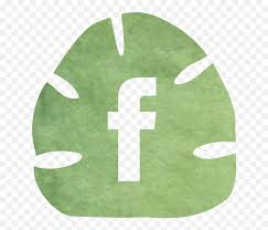 Check spelling or type a new query. Palm Beach Bachelorette Party U2013 Married In Facebook Icon Aesthetic Boho Png Safari Logo Aesthetic Free Transparent Png Images Pngaaa Com