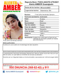 Cuando un menor desaparece la alerta amber es crucial para que las autoridades puedan ubicar al menor desaparecido. Frida Sofia Desaparecio En Salamanca Ya Activaron Alerta Amber Zona Franca