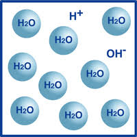 I first found the chemical equation for this problem to be i then used the limiting reactant to find the concentration of each ion. Concentration Of Hydrogen Ions Horiba