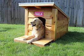 The outdoor dog house ideas presented here are cute and unique in their own ways and span a wide variety of styles and looks so that you will surely see something that fits your home and your dog's personality. 13 Diy Doghouse Plans And Ideas The House Of Wood