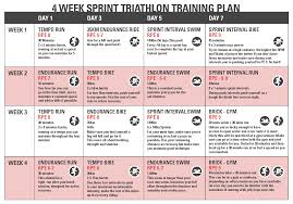 beginners triathlon guide