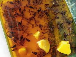 Tapi perlu kalian pahami bahwa bermain shio lebih. Wanita Tunjuk Cara Mudah Buat Perangkap Lipas Dalam Kereta Hanya Guna 3 Bahan Je Maskulin