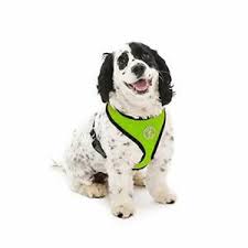 Details About Gooby Soft Mesh Harness Small Dog Harness With Breathable Mesh Green Large