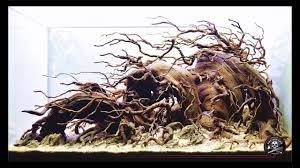 Hardscape Aquascape Pohon Bonsai Seni Konsep Akuarium