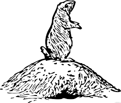 Wyoming wildlife coloring book page 1. Prairie Dog Coloring Pages Prairie Dog B001 Png Printable Coloring4free Coloring4free Com