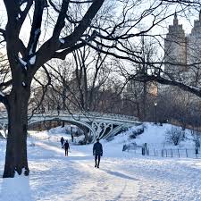From major restorations to ongoing maintenance, we do it all—with your help. Finding Refuge And A Snowy Owl In Central Park The New York Times