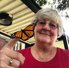 Do monarchs ever refuse to leave when released?