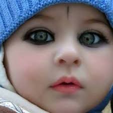 Cossus cossus mongolicus erschoff, 1882 (mongolia). Kossai Argoub Com Home Facebook