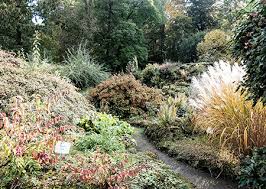 Tickets, tours, address, alter botanischer garten reviews: Alter Botanischer Garten Sammlungsportal Der Georg August Universitat Gottingen