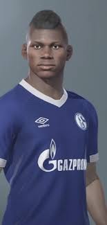 Embolo è il termine medico che definisce qualunque massa anomala, mobile e insolubile, circolante nel sangue e capace, se raggiunge un'arteria o una vena della sua stessa dimensione, di interrompere il flusso sanguigno in modo del tutto simile a un tappo. Breel Embolo Pro Evolution Soccer Wiki Neoseeker