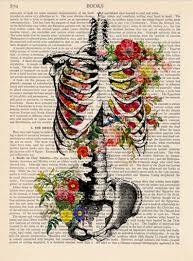 Anatomy Print Medical Poster Vintage Illustration Skeleton Etsy Vintage Art Prints Book Art Retro Poster