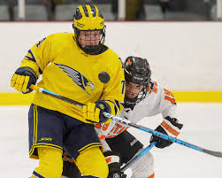 Image result for Hartliella