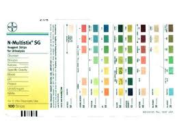 Ppt Urinalysis Powerpoint Presentation Free Download Id