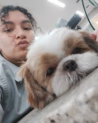 dogcílio (@dogcilio) • Instagram photos and videos