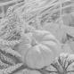 Pumpkin festival event image