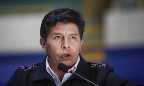 Abogado de Castillo: videos del golpe podrían ser falsos