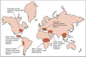 Resourcesforhistoryteachers Agriculture And The Emergence Of Civilization