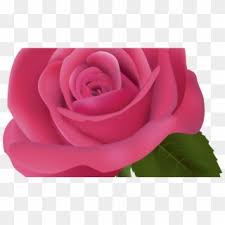 Check spelling or type a new query. Pink Rose Png Clipart Image Best Web Clipart Bunga Mawar Gambar Bunga Png Transparent Png 85196 Pikpng