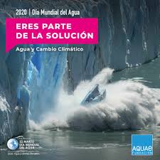 De allí surgió la propuesta, siendo 1993 el primer año de celebración. Dia Mundial Del Agua 2020 Fundacion Aquae