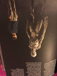 Notably, the upside down generally looks like a blasted atomic wasteland (albeit one covered in fungus and alien kudzu), and the constantly drifting spores in the air even looking like falling radioactive ash. Melissa Dog Wolf Lover Martin S Review Of Stranger Things Worlds Turned Upside Down The Official Behind The Scenes Companion