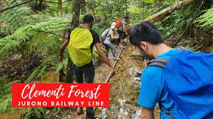 A misty forest with towering trees and lush green vegetation as high as a person. Clementi Forest Old Jurong Railway Line Trek Aug2021 Sgtrek