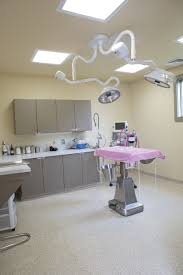 We did not find results for: Premier Vet Care Animal Clinic Edukasi News