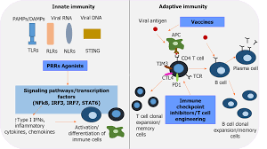 Shx02334965cmy niiiii x sampai2 dri bulan lalu lagi. What Does Route Scan Meaning Abx