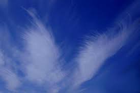 Clouds That Look Like Angels Rosemarie747 Portfolio Blue Angel Wings Clouds Clouds Angel Clouds Angel Pictures