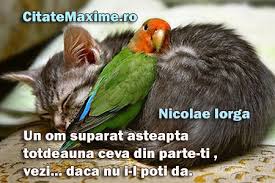 Nu fii suparat mai frate 14 композиций. Un Om Suparat Asteapta Totdeauna Ceva Din Parte Ti Vezi Daca Nu I L Poti Da Citate Maxime