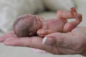 110 Ideas De Bebes Que Parecen Reales Muneca Reborn Munecos Bebe Reborn Bebe Realista