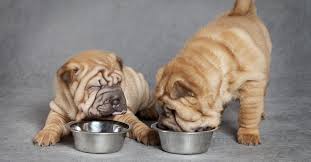 Nutritionally complete homemade dog food. Homemade Dog Food Can Actually Deprive Pets Of Essential Nutrients Popular Science