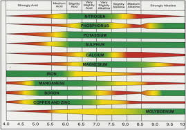 Bookfanatic89 Ph Plant Uptake Chart