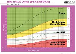 Manakala cara kiraan bmi manual adalah seperti formula bmi berikut : Cara Kira Bmi Untuk Dewasa Kanak Kanak Ibu Mengandung