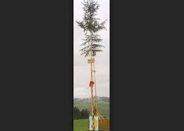 We did not find results for: Bei Geburt Eines Kindes Baum Pflanzen Oder Geburtsbaum Aufstellen Watson