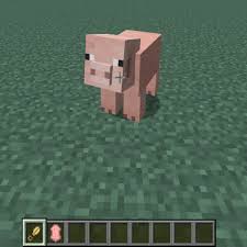 Folder does not exist you can create . Minecraft More Shearables Mod 2021 Download