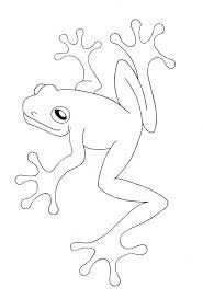 Download this running horse printable to entertain your child. Tree Frog Coloring Page Coloring Home