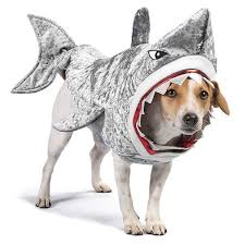 Thrills And Chills For Petsmart Silver Shark Soft